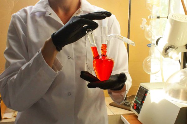 Un regard d'ensemble sur l'orgonite