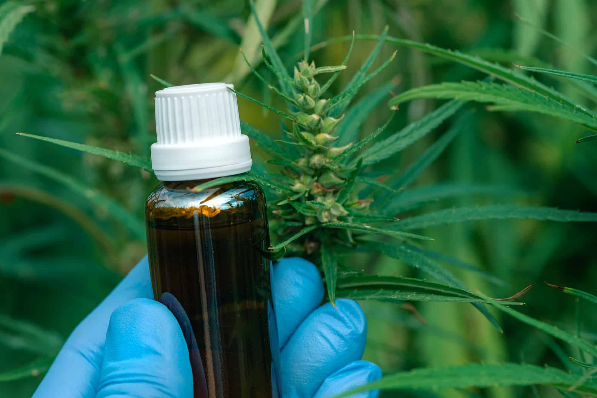 Quels avantages le CBD offre-t-il pour améliorer les problèmes de sommeil ?